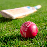 cricket cricket